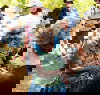 Tiwi Islands Cultural Experience from Darwin Including Ferry - Accommodation Main Beach