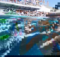 Great Barrier Reef Day Cruise from Cairns Including Snorkeling and Marine Biologist Presentation