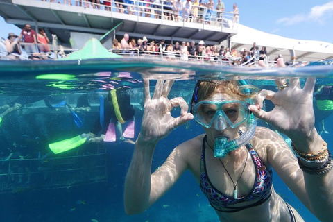 Great Barrier Reef Day Cruise From Cairns Including Snorkeling And Marine Biologist Presentation - Accommodation Main Beach 0