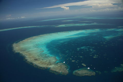 Great Barrier Reef Day Cruise From Cairns Including Snorkeling And Marine Biologist Presentation - Accommodation Main Beach 1