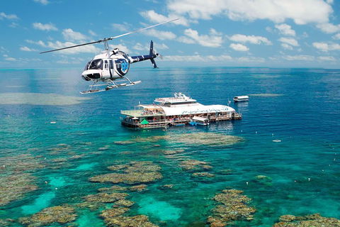 Great Barrier Reef Day Cruise From Cairns Including Snorkeling And Marine Biologist Presentation - Accommodation Main Beach 5