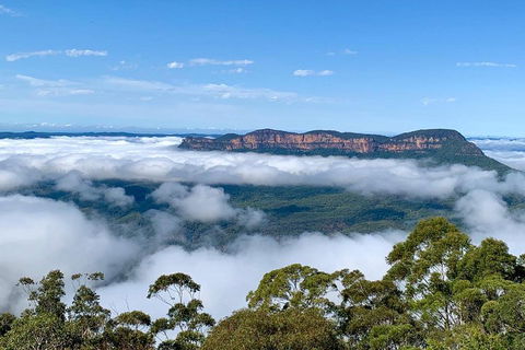 Small-Group Blue Mountains Tour With A Local Guide - Accommodation Main Beach 4