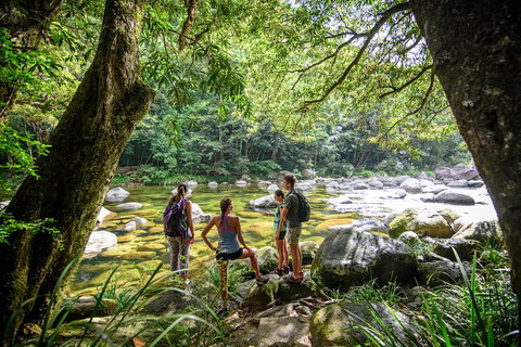 Private Daintree Mossman Gorge Exclusive Nature And Wildlife Focus - Accommodation Main Beach 5