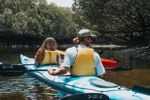 Kayak Tour In Adelaide Dolphin Sanctuary - Accommodation Main Beach 2