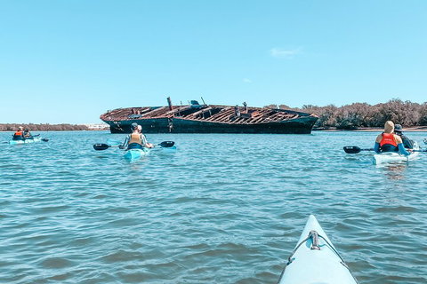 Kayak Tour In Adelaide Dolphin Sanctuary - Accommodation Main Beach 3