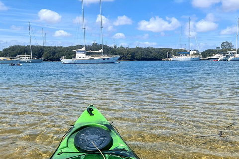 Kayak Tour In Adelaide Dolphin Sanctuary - Accommodation Main Beach 4