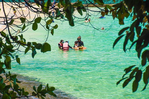 Green Island Day Trip From Cairns - Accommodation Main Beach 2