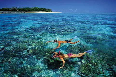 Green Island Day Trip From Cairns - Accommodation Main Beach 5