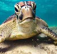 Sail Snorkel SUP  Kayak Charter Whitsundays