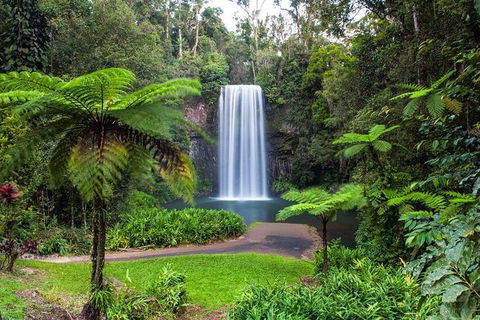 Cairns & Port Douglas All-Inclusive 7 Days Touring Package - Accommodation Main Beach 2