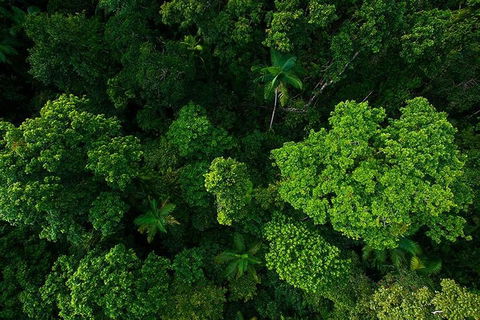 Cairns & Port Douglas All-Inclusive 7 Days Touring Package - Accommodation Main Beach 4