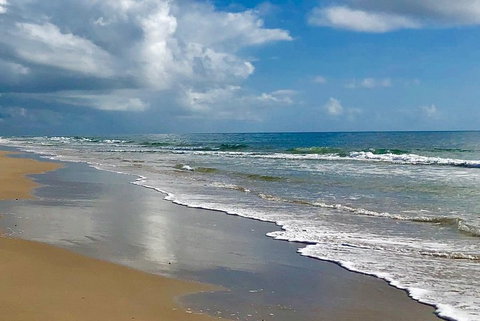 3 Nights 2 Full Days Private Guided Tour Of The Sunshine Coast And Hinterland - Accommodation Main Beach 4