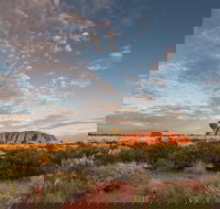 Uluru Kata Tjuta and Kings Canyon Camping Safari from Alice Springs - Accommodation Main Beach