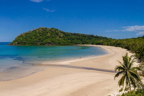 Daintree And Cape Tribulation Tour From Cairns - Accommodation Main Beach 1
