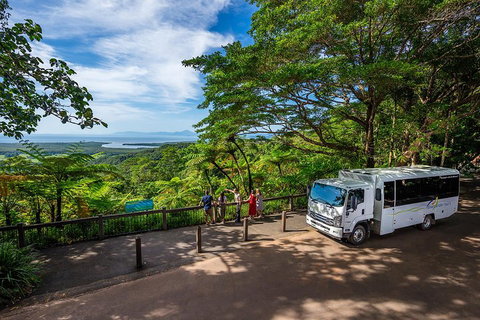 Daintree And Cape Tribulation Tour From Cairns - Accommodation Main Beach 3