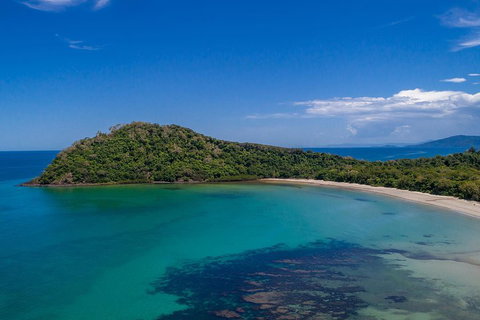 Daintree And Cape Tribulation Tour From Cairns - Accommodation Main Beach 4