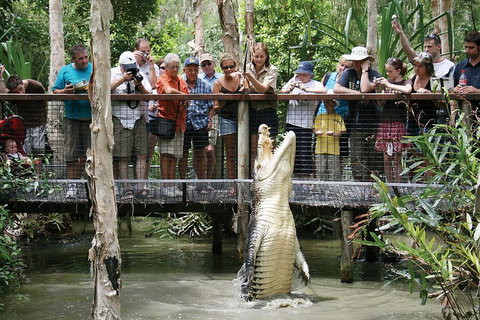 Hartley's Crocodile Adventure Half-Day Tour - Accommodation Main Beach 1