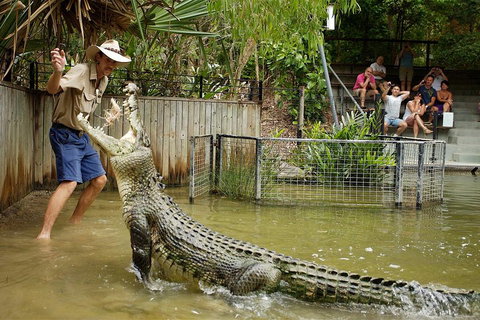Hartley's Crocodile Adventure Half-Day Tour - Accommodation Main Beach 2