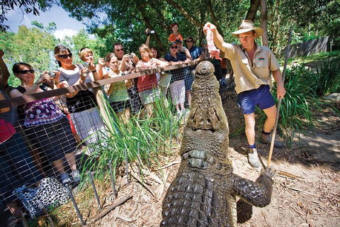 Hartley's Crocodile Adventure Half-Day Tour - Accommodation Main Beach 4