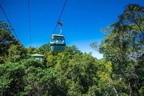 Skyrail Rainforest Cableway Day Trip From Cairns - Accommodation Main Beach 1