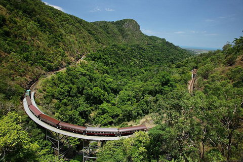 Skyrail Rainforest Cableway Day Trip From Cairns - Accommodation Main Beach 5