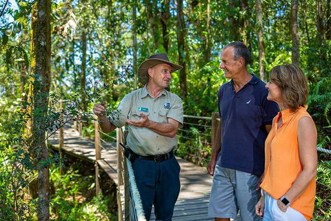 Kuranda Scenic Railway Day Trip From Cairns - Accommodation Main Beach 1