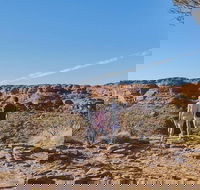 The Amazing Kings Canyon 4-Hours Walking Tour and Hike - Accommodation Main Beach