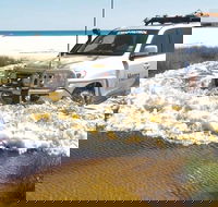 Full-Day Moreton Island 4x4 Sightseeing Tour - Accommodation Main Beach