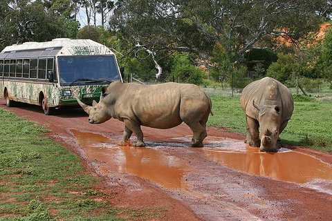 The Ultimate Melbourne Attractions Pass - Accommodation Main Beach 4