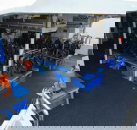 Silverswift Outer Great Barrier Reef Dive and Snorkel Cruise from Cairns