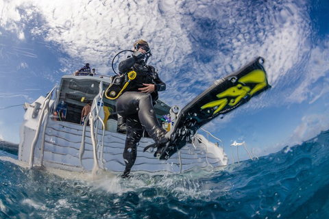 Silverswift Outer Great Barrier Reef Dive And Snorkel Cruise From Cairns - Accommodation Main Beach 1
