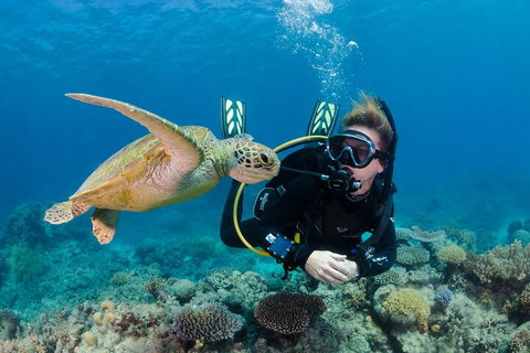 Silverswift Outer Great Barrier Reef Dive And Snorkel Cruise From Cairns - Accommodation Main Beach 2