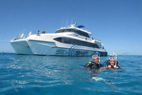 Silverswift Outer Great Barrier Reef Dive And Snorkel Cruise From Cairns - Accommodation Main Beach 4