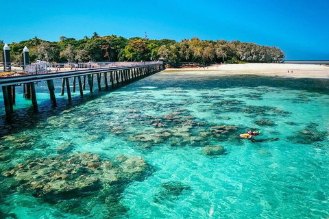 Green Island Discovery Including Glass Bottom Boat Tour Departing Cairns - Accommodation Main Beach 4