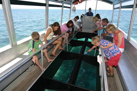 Green Island Discovery Including Glass Bottom Boat Tour Departing Cairns - Accommodation Main Beach 5