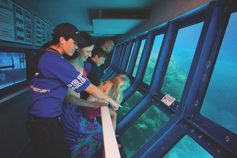 Great Barrier Reef Adventure From Cairns - Accommodation Main Beach 0