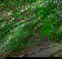 Green Island Eco Adventure from Cairns