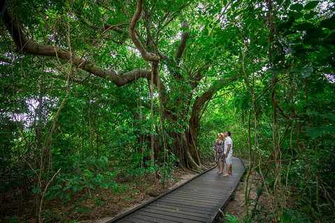 Green Island Eco Adventure From Cairns - Accommodation Main Beach 0