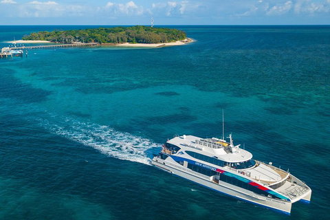 Green Island Eco Adventure From Cairns - Accommodation Main Beach 1