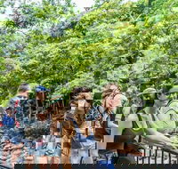 Cape Tribulation Mossman Gorge and Daintree Rainforest Day Trip from Cairns or Port Douglas