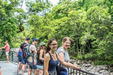 Cape Tribulation, Mossman Gorge, And Daintree Rainforest Day Trip From Cairns Or Port Douglas - Accommodation Main Beach 0