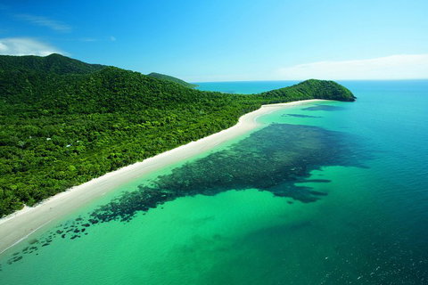 Cape Tribulation, Mossman Gorge, And Daintree Rainforest Day Trip From Cairns Or Port Douglas - Accommodation Main Beach 2