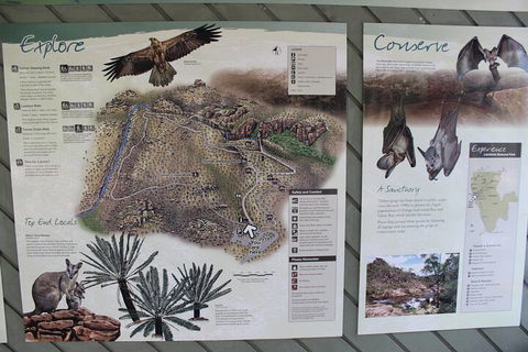 Jumping Crocodile Cruise And Berry Springs Nature Park - Accommodation Main Beach 2