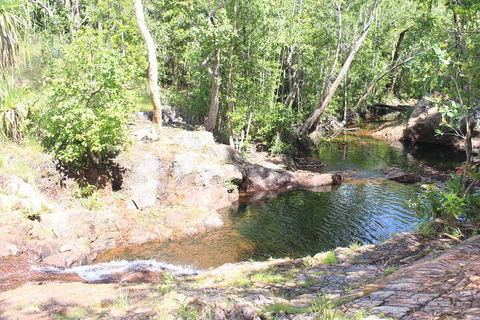 Jumping Crocodile Cruise And Berry Springs Nature Park - Accommodation Main Beach 3