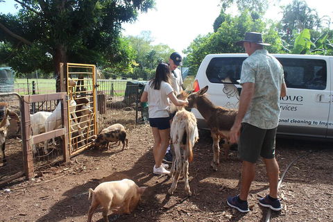 Jumping Crocodile Cruise And Berry Springs Nature Park - Accommodation Main Beach 4