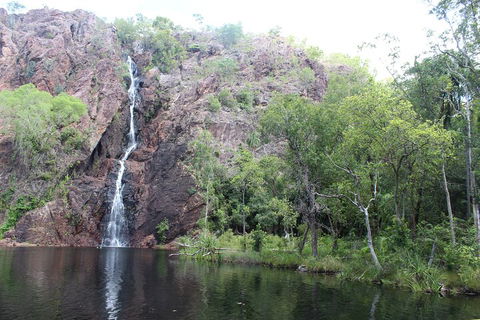 Jumping Crocodile Cruise And Berry Springs Nature Park - Accommodation Main Beach 5
