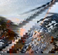 Melbourne and Port Phillip Bay Helicopter Tour - Accommodation Main Beach