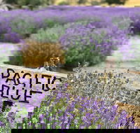 Kangaroo Island Food and Wine Trail Tour - Accommodation Main Beach