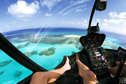 Private Coral Cay Bubbles Tour - Accommodation Main Beach 1