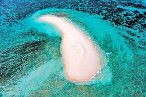 Private Coral Cay Bubbles Tour - Accommodation Main Beach 3
